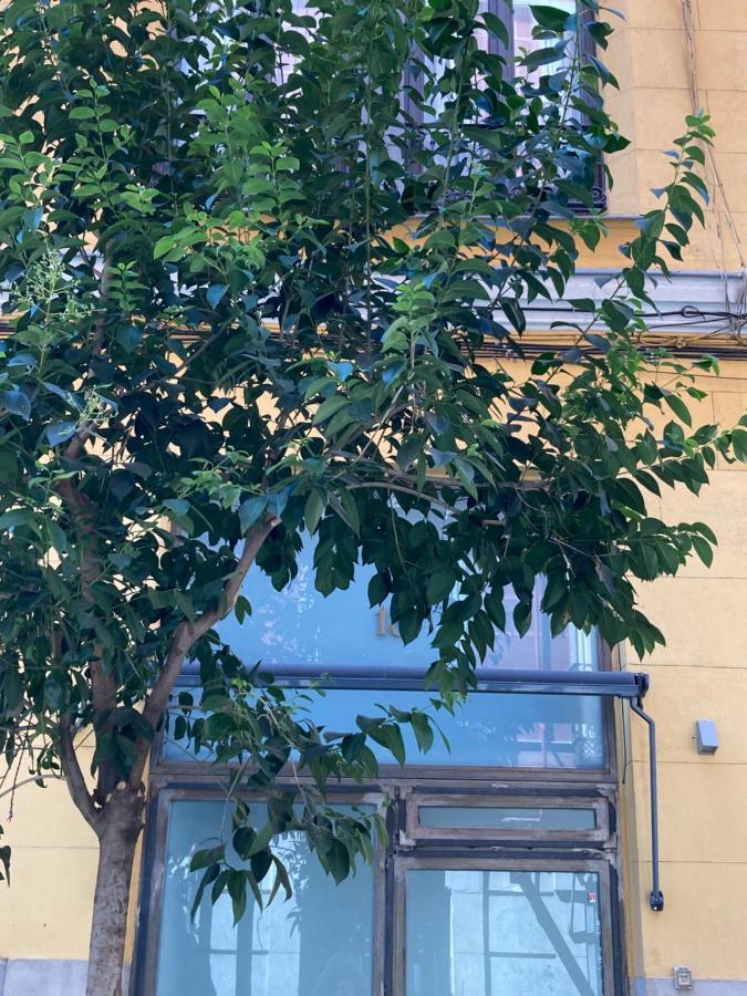 Luxury, Private Wellness In Prado Museum New Aug21 Apartman Madrid Kültér fotó